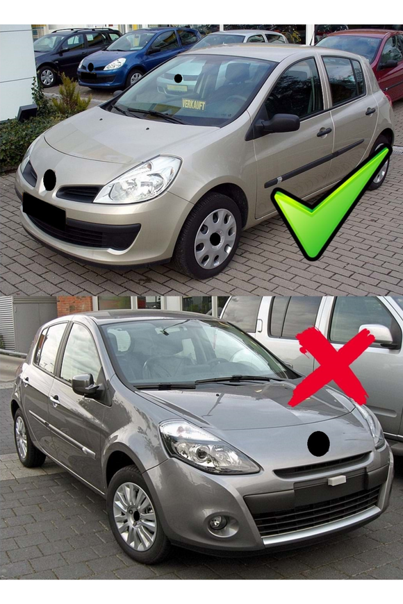 bat mirror cover for 2006-2007-2008-2009 renault clio 3