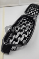 f30 diamond ön böbrek