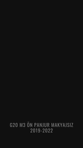 g20 ön panjur böbrek