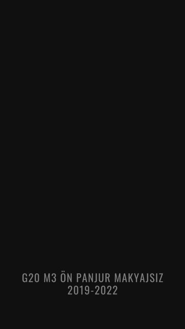 g20 ön panjur böbrek